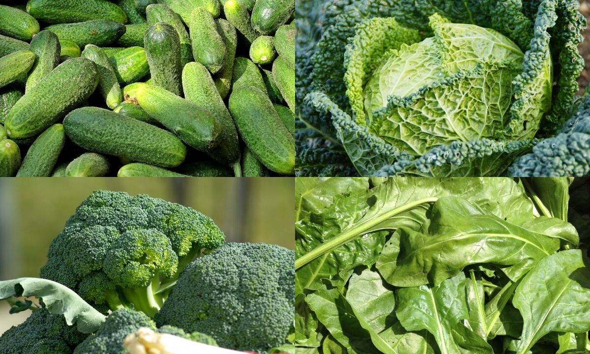 legume